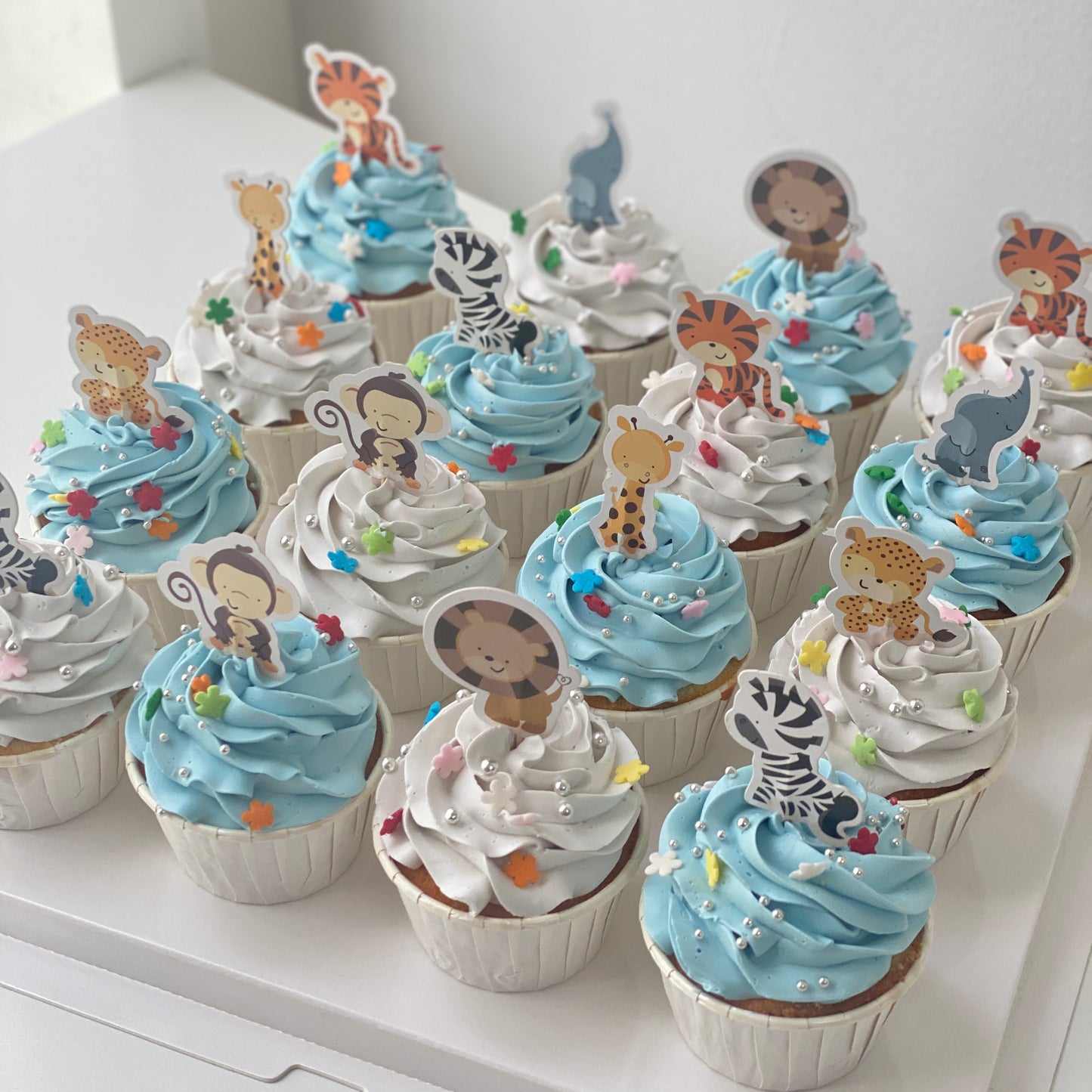 Animal Themed Cupcake 12pcs